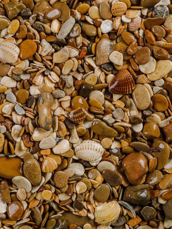 Галька каспийская с ракушкой, фракция 10-22мм — 1